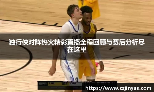 独行侠对阵热火精彩直播全程回顾与赛后分析尽在这里